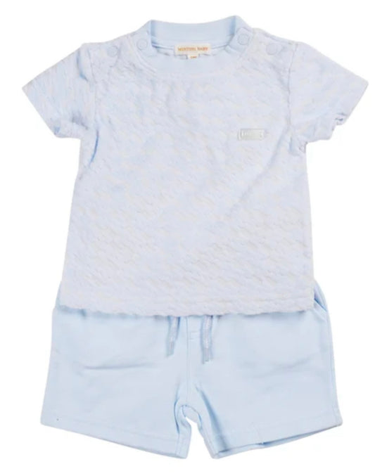 Mintini Blue Short Sleeve T Shirt And Shorts